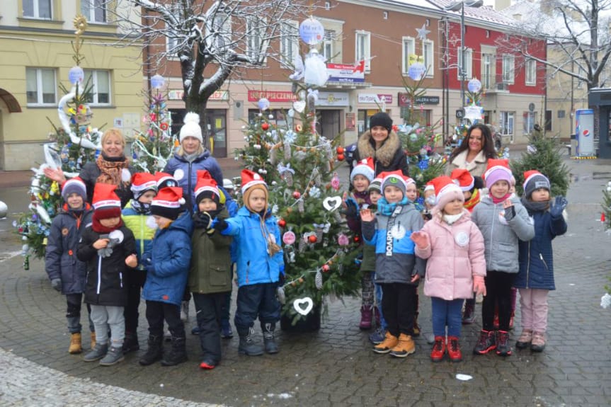 20 świątecznie udekorowanych choinek pojawiło na jasielskim rynku