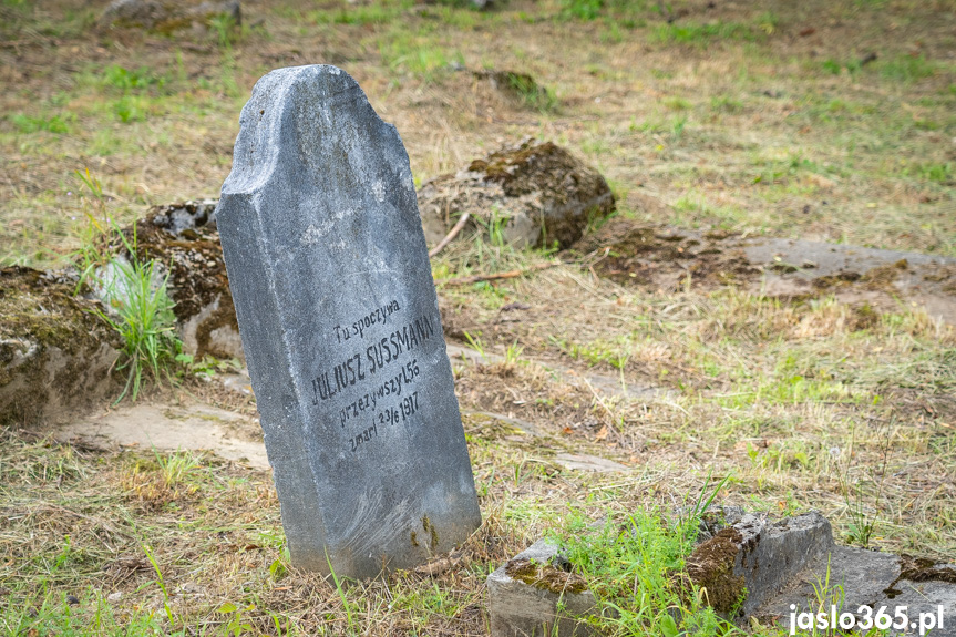 5. Dzień Pamięci o społeczności jasielskich Żydów