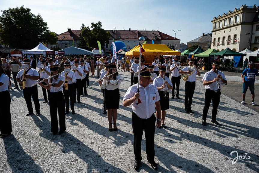 Dni Wina i Festiwal Karpackiego Sera w Jaśle