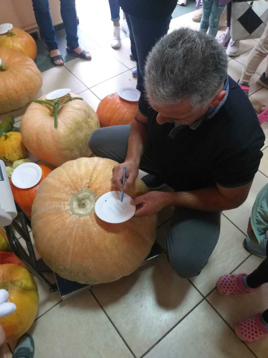 Gminne święto dyni i pieczonego ziemniaka w Bierówce