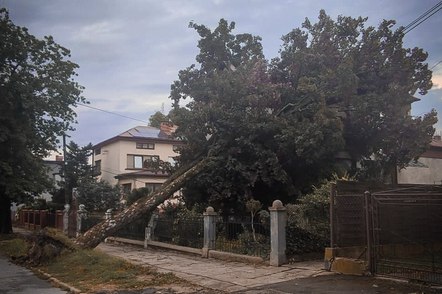 Interewncje strażaków po burzach na Podkarpaciu