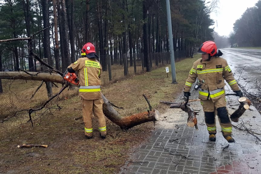 Interwencje strażaków na Podkarpaciu