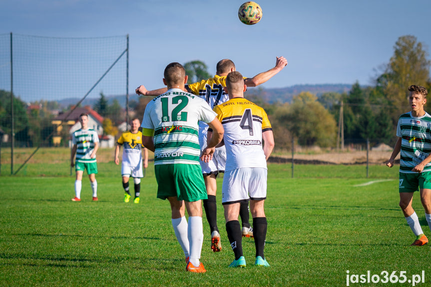 Liwocz Brzyska - Orzeł Faliszówka 2:0