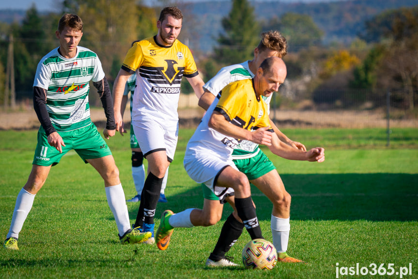 Liwocz Brzyska - Orzeł Faliszówka 2:0