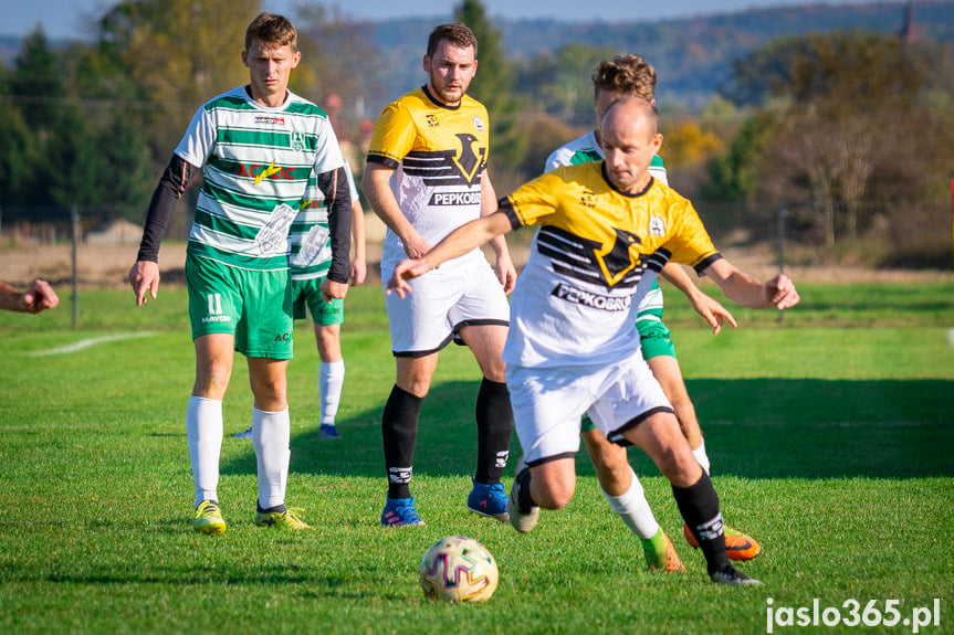 Liwocz Brzyska - Orzeł Faliszówka 2:0