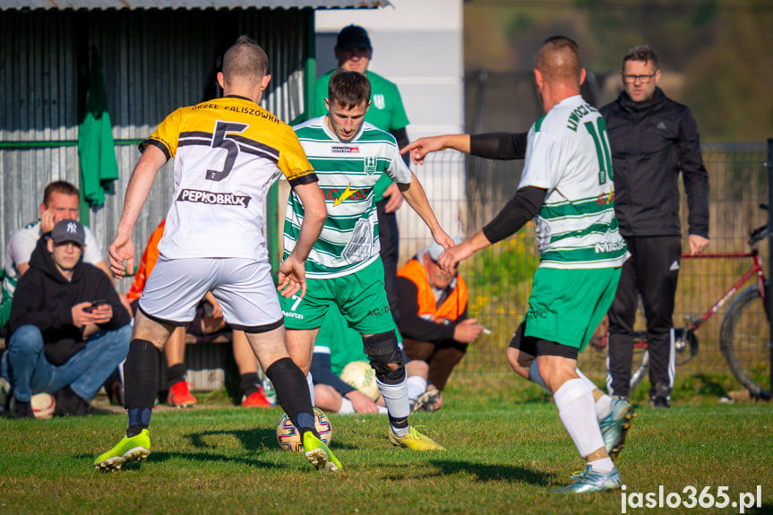 Liwocz Brzyska - Orzeł Faliszówka 2:0