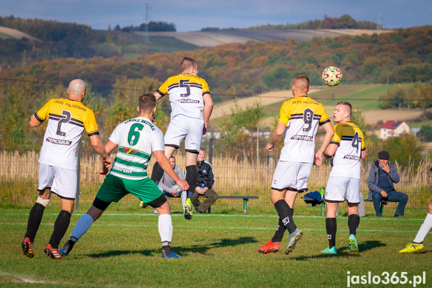 Liwocz Brzyska - Orzeł Faliszówka 2:0