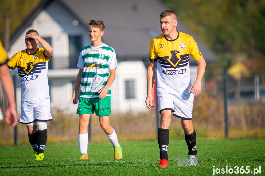 Liwocz Brzyska - Orzeł Faliszówka 2:0