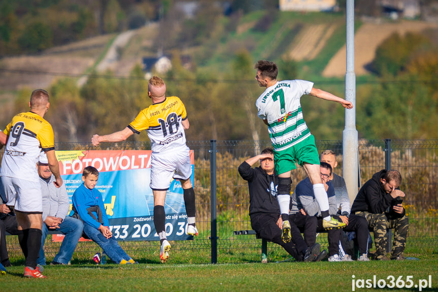 Liwocz Brzyska - Orzeł Faliszówka 2:0