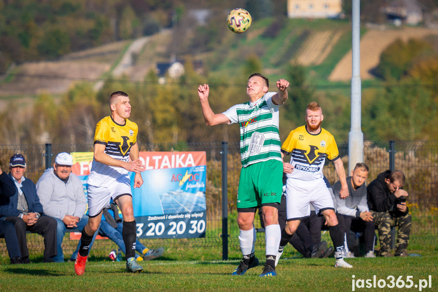 Liwocz Brzyska - Orzeł Faliszówka 2:0