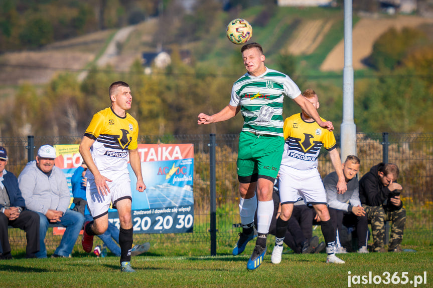 Liwocz Brzyska - Orzeł Faliszówka 2:0