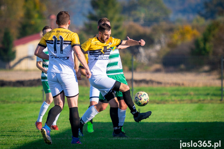 Liwocz Brzyska - Orzeł Faliszówka 2:0