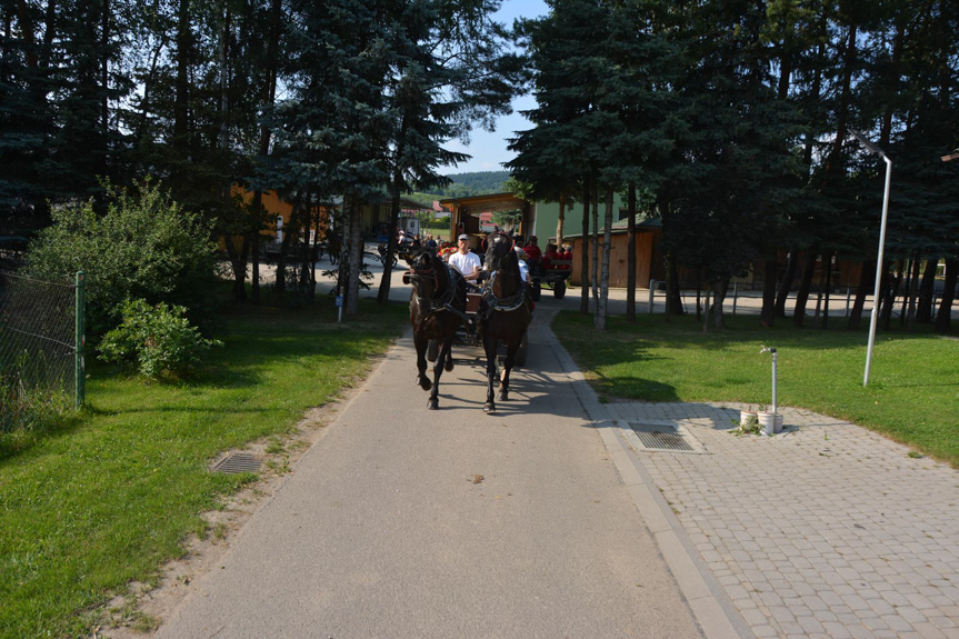 Magiczna noc świętojańska w Bieździedzy