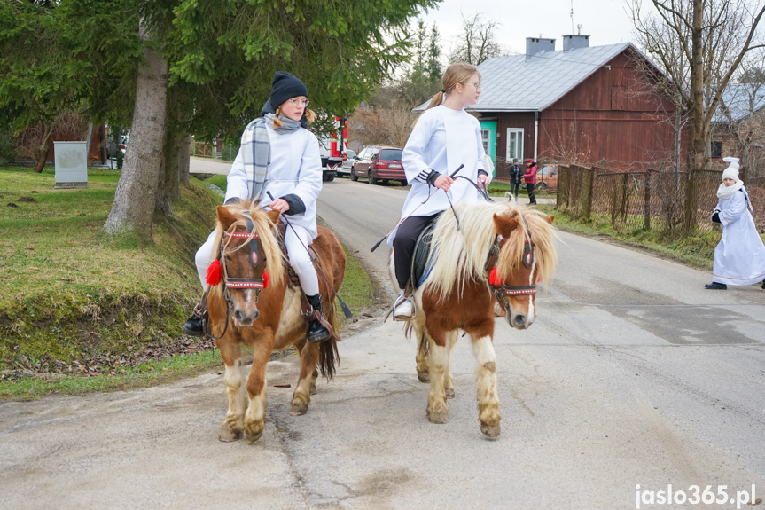 Orszak Trzech Króli w Nienaszowie 2024