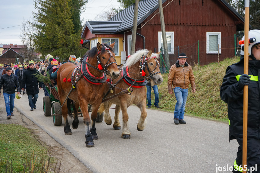 Orszak Trzech Króli w Nienaszowie 2024