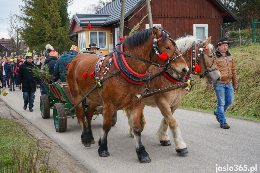 Orszak Trzech Króli w Nienaszowie 2024