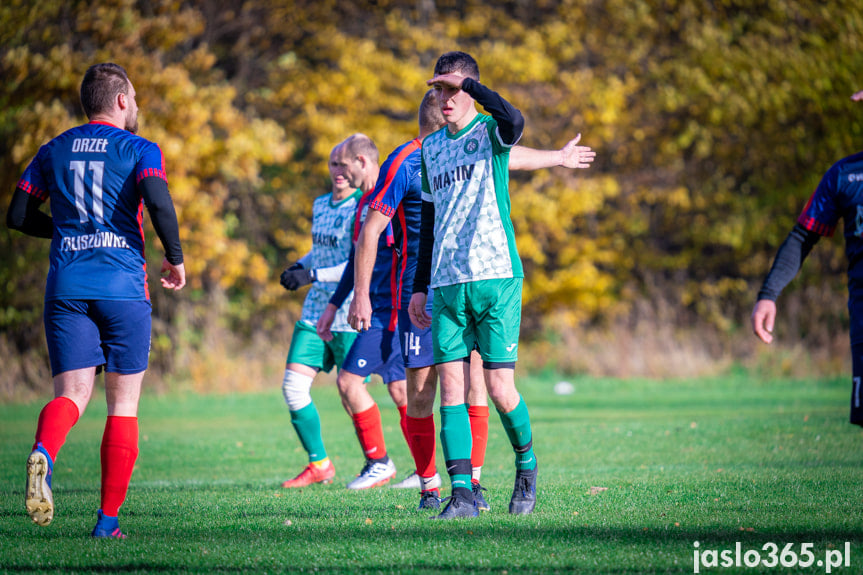 Orzeł Faliszówka - LKS Czeluśnica 1:5