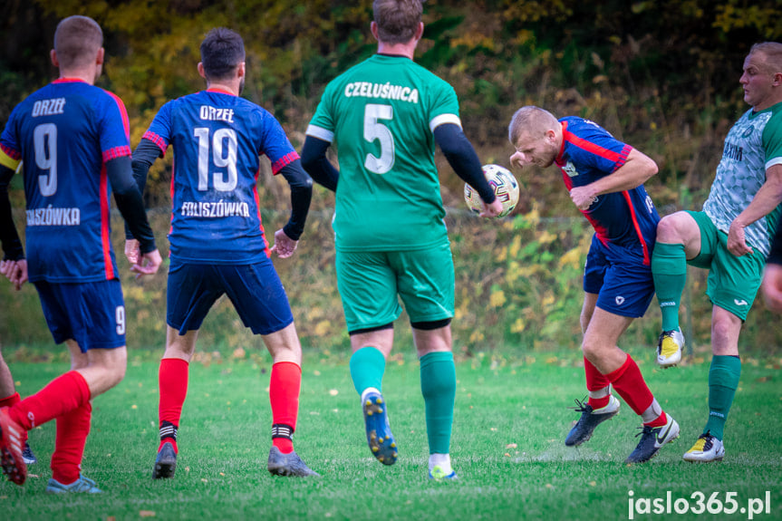 Orzeł Faliszówka - LKS Czeluśnica 1:5