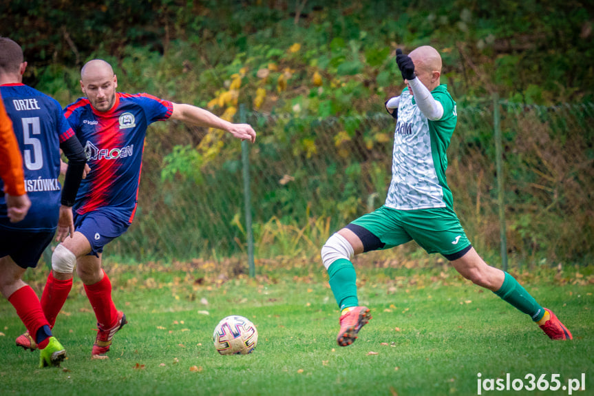 Orzeł Faliszówka - LKS Czeluśnica 1:5