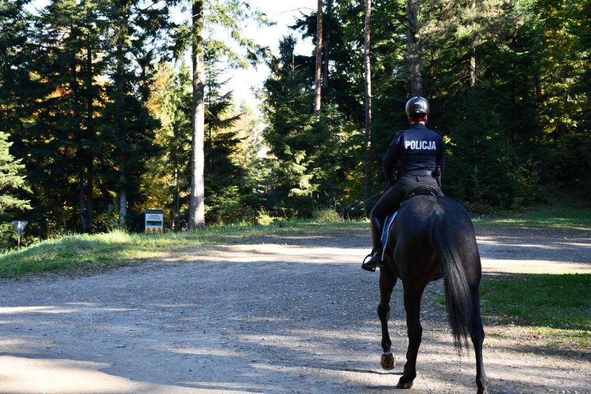 Patrole policji i straży leśnej w gminie Jasło