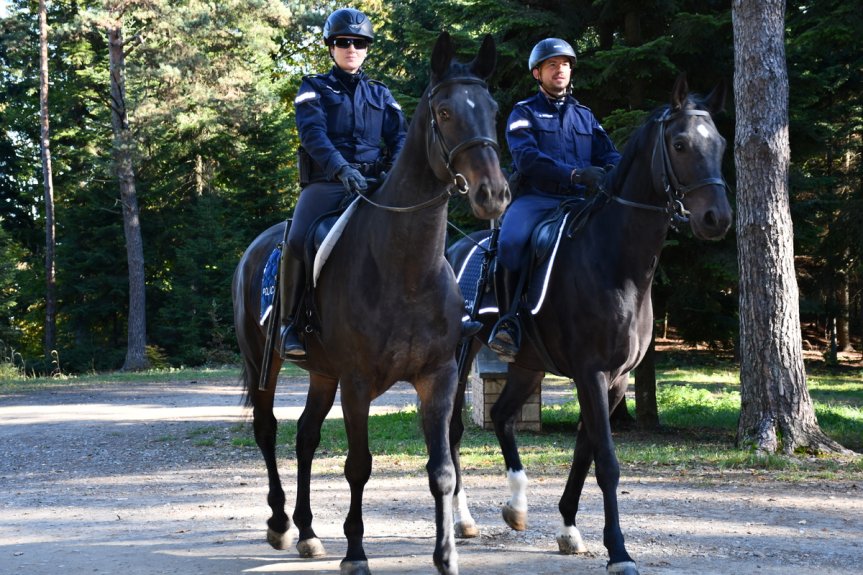 Patrole policji i straży leśnej w gminie Jasło