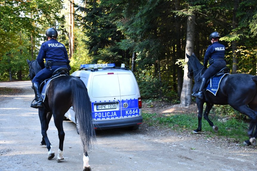 Patrole policji i straży leśnej w gminie Jasło