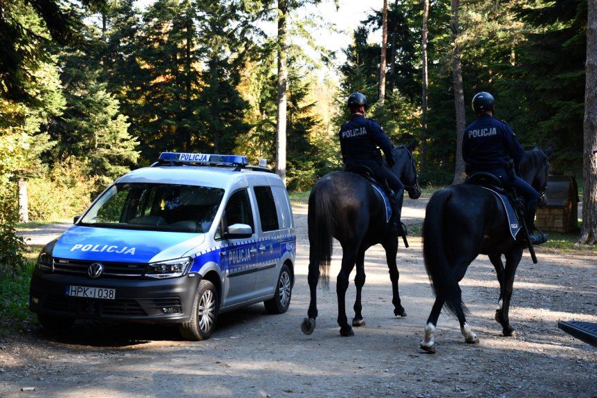 Patrole policji i straży leśnej w gminie Jasło