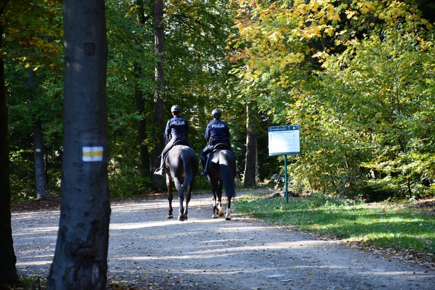 Patrole policji i straży leśnej w gminie Jasło