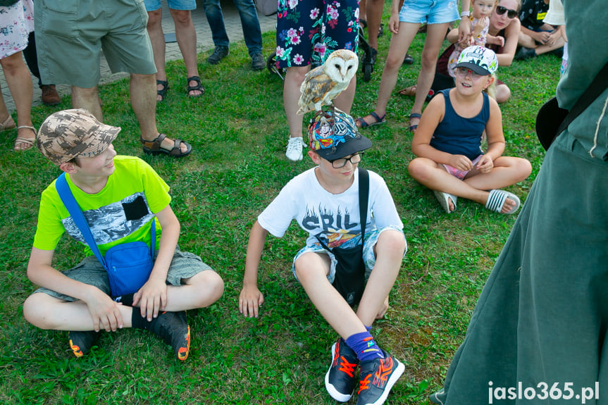 Piknik Rodzinny - Wakacje z Konfederacją w Jaśle