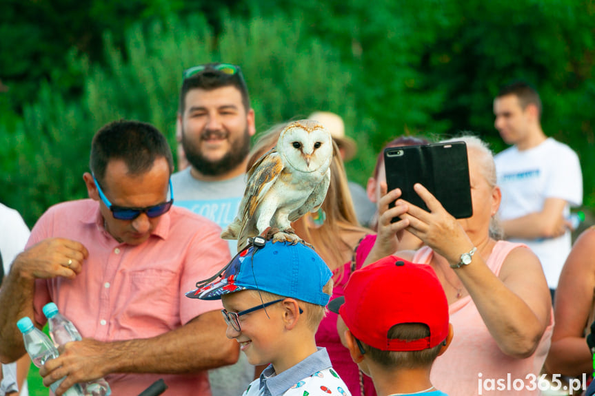 Piknik Rodzinny - Wakacje z Konfederacją w Jaśle