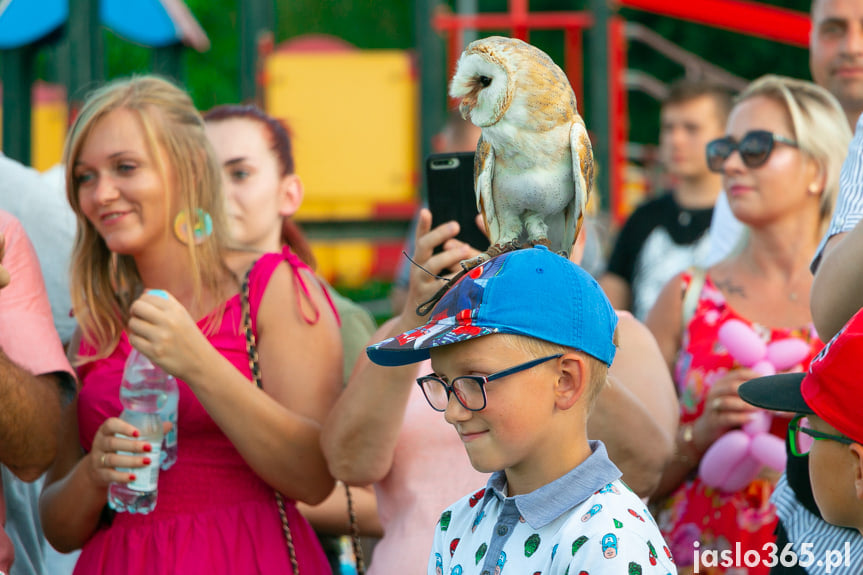 Piknik Rodzinny - Wakacje z Konfederacją w Jaśle