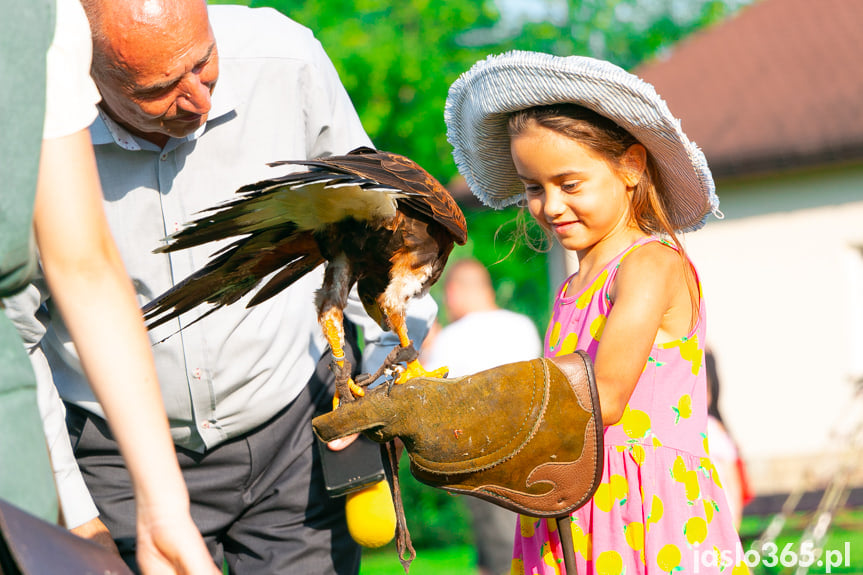 Piknik Rodzinny - Wakacje z Konfederacją w Jaśle