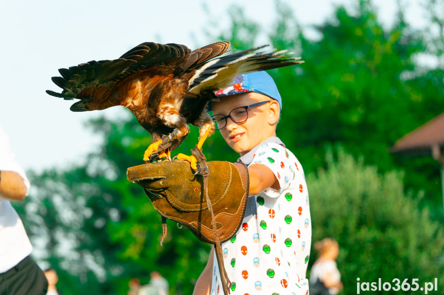 Piknik Rodzinny - Wakacje z Konfederacją w Jaśle