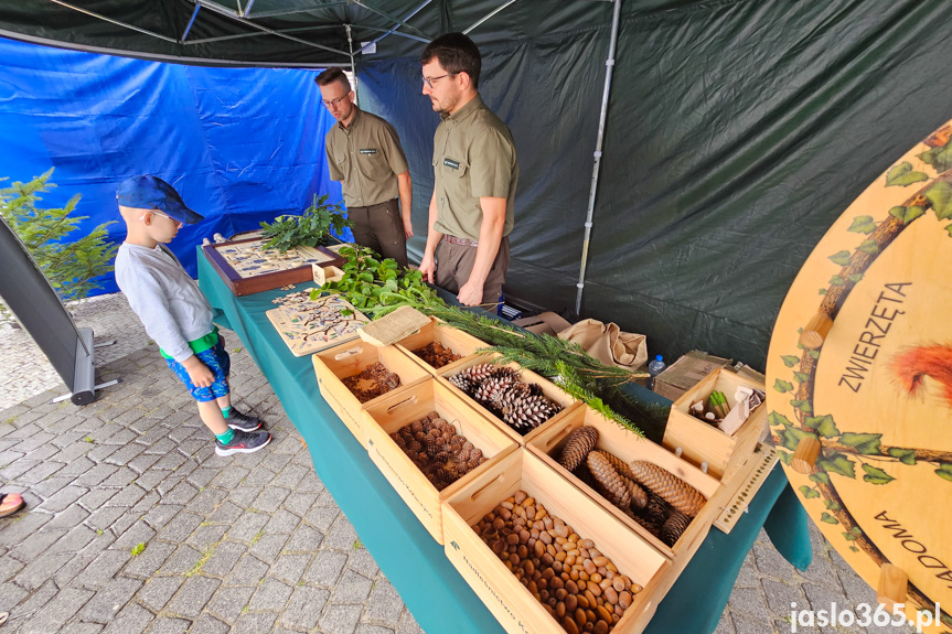 Piknik Zdrowe Życie w Jaśle