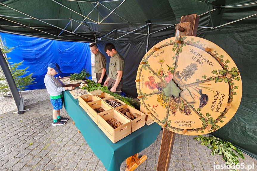 Piknik Zdrowe Życie w Jaśle