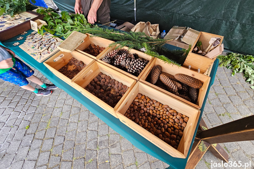 Piknik Zdrowe Życie w Jaśle