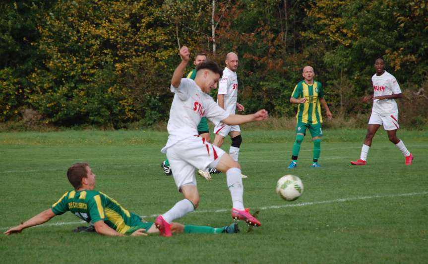 Piłka nożna. V liga. LKS Czeluśnica - Cosmos Nowotaniec 0-7