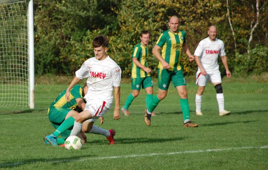 Piłka nożna. V liga. LKS Czeluśnica - Cosmos Nowotaniec 0-7