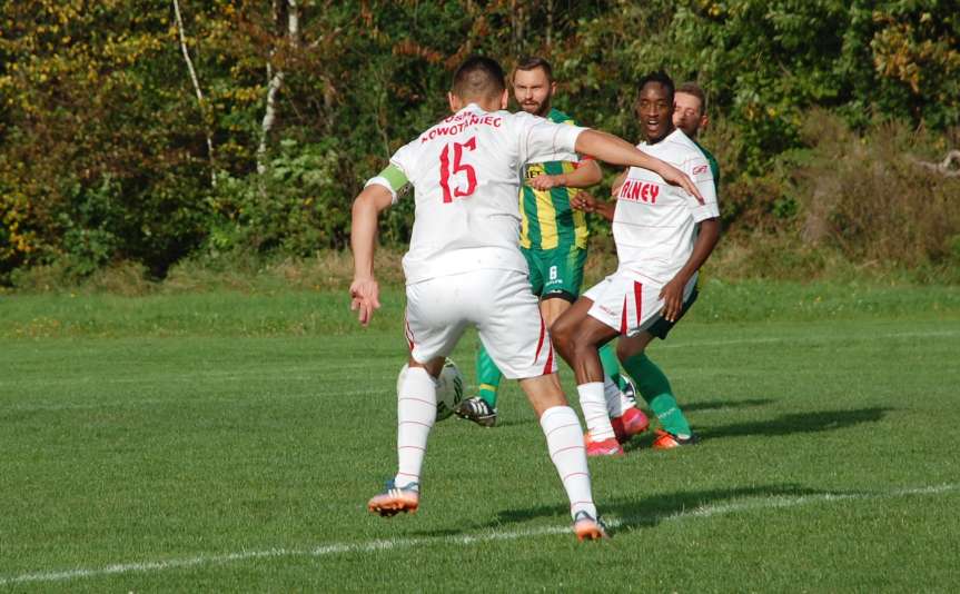 Piłka nożna. V liga. LKS Czeluśnica - Cosmos Nowotaniec 0-7