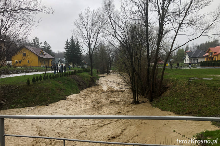 Poszukiwania mężczyzny