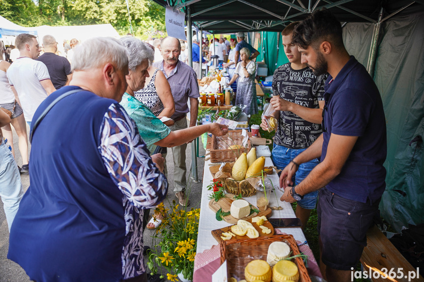 Tarnowiec. XIV Festiwal Smaków Regionalnych Pierogi