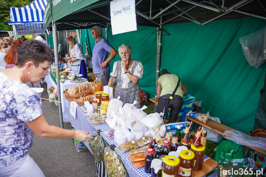 Tarnowiec. XIV Festiwal Smaków Regionalnych Pierogi