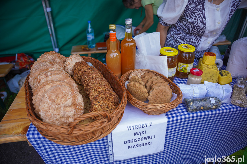 Tarnowiec. XIV Festiwal Smaków Regionalnych Pierogi