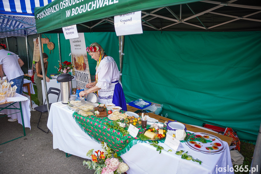 Tarnowiec. XIV Festiwal Smaków Regionalnych Pierogi