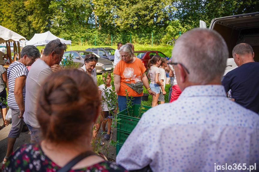 Tarnowiec. XIV Festiwal Smaków Regionalnych Pierogi