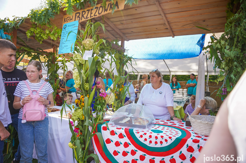 Tarnowiec. XIV Festiwal Smaków Regionalnych Pierogi