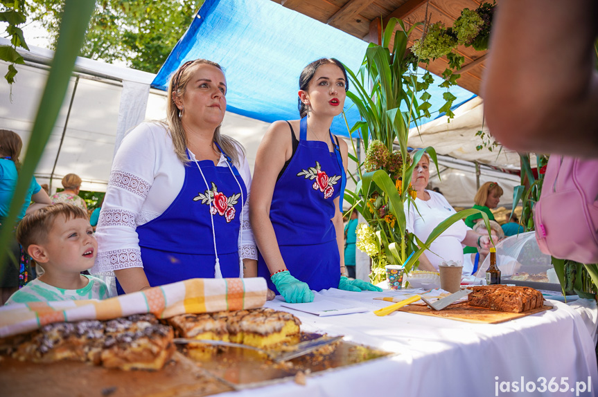 Tarnowiec. XIV Festiwal Smaków Regionalnych Pierogi