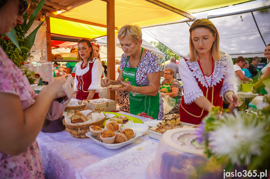 Tarnowiec. XIV Festiwal Smaków Regionalnych Pierogi