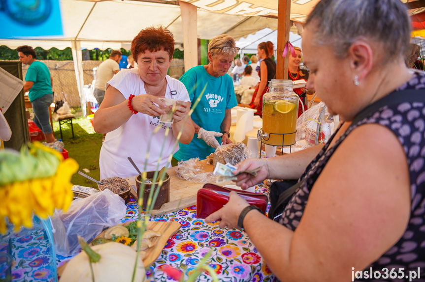 Tarnowiec. XIV Festiwal Smaków Regionalnych Pierogi