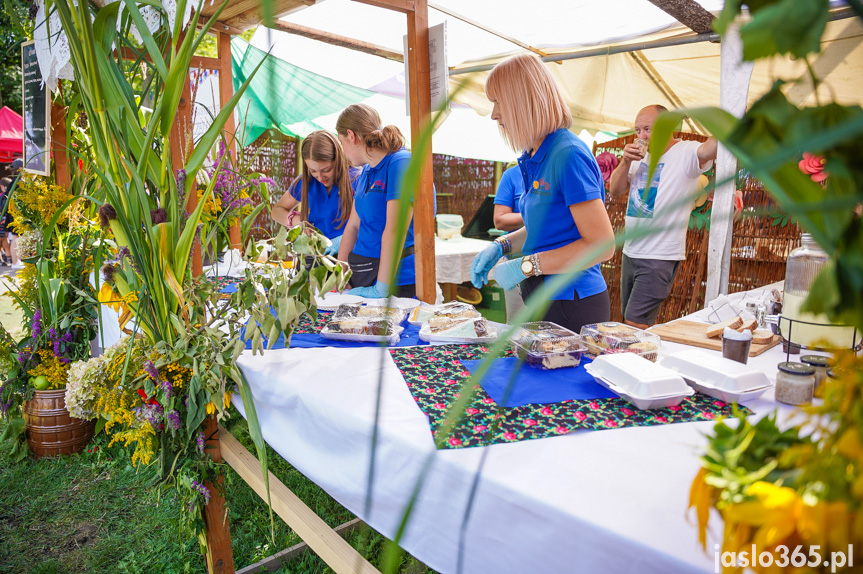 Tarnowiec. XIV Festiwal Smaków Regionalnych Pierogi